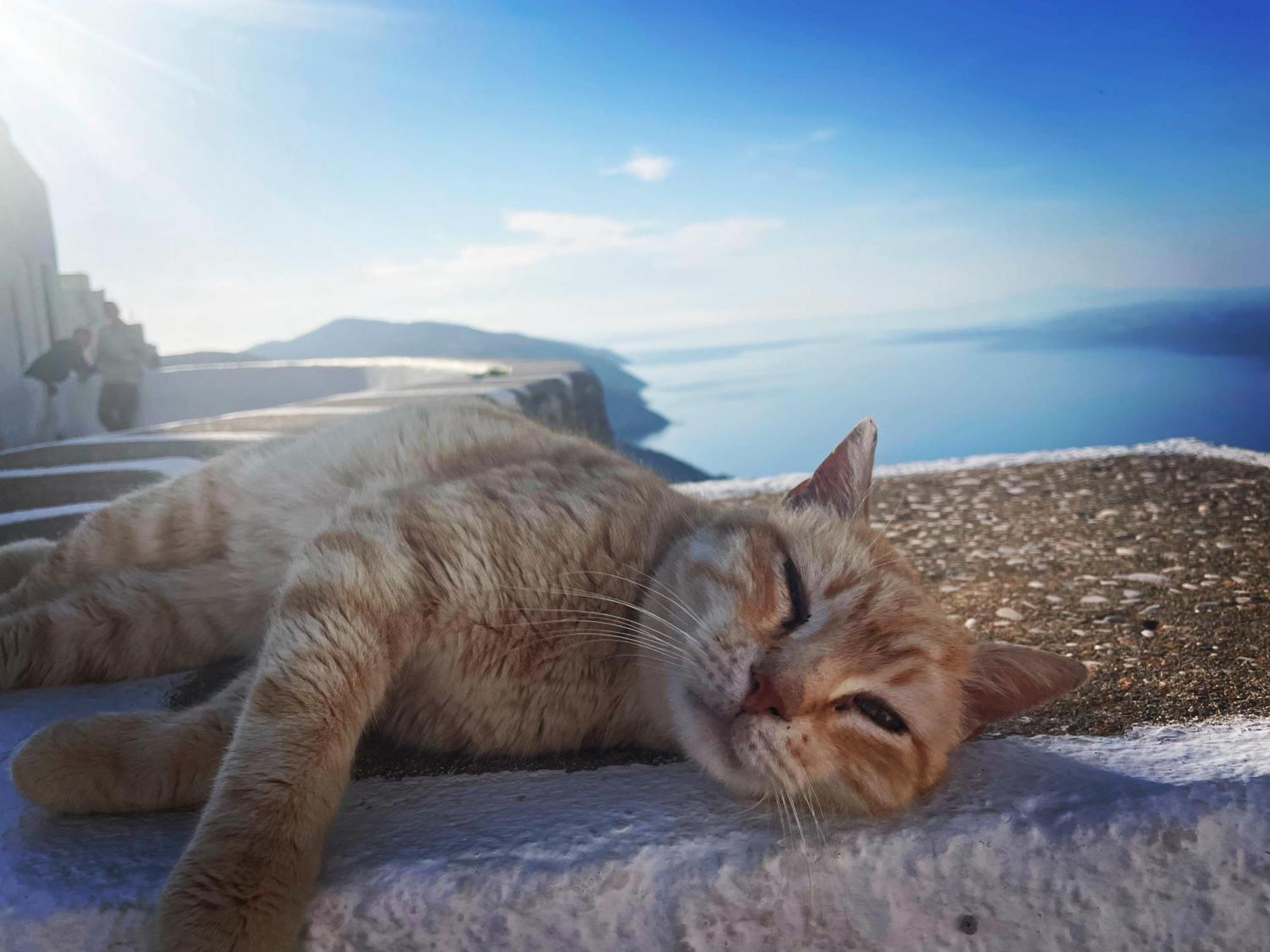 Folegandros-Cliffhouse Villa ภายนอก รูปภาพ