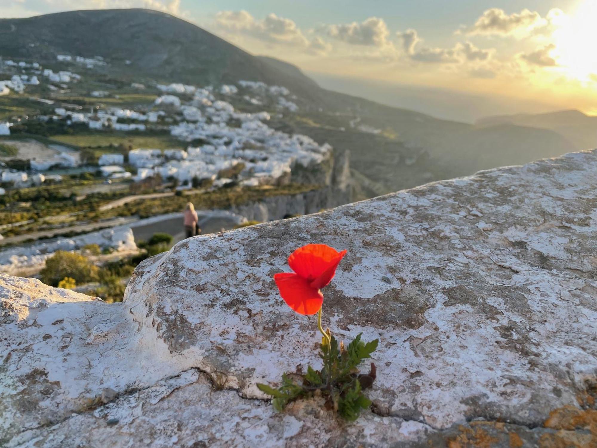 Folegandros-Cliffhouse Villa ภายนอก รูปภาพ