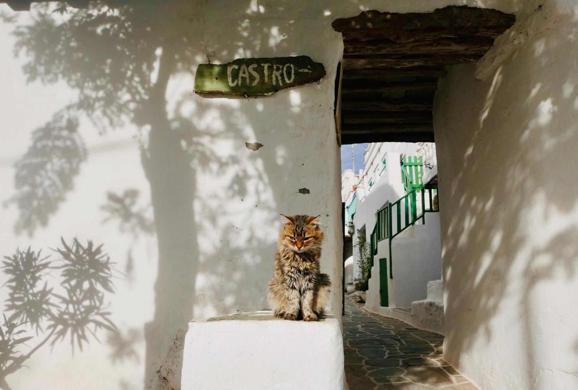 Folegandros-Cliffhouse Villa ภายนอก รูปภาพ